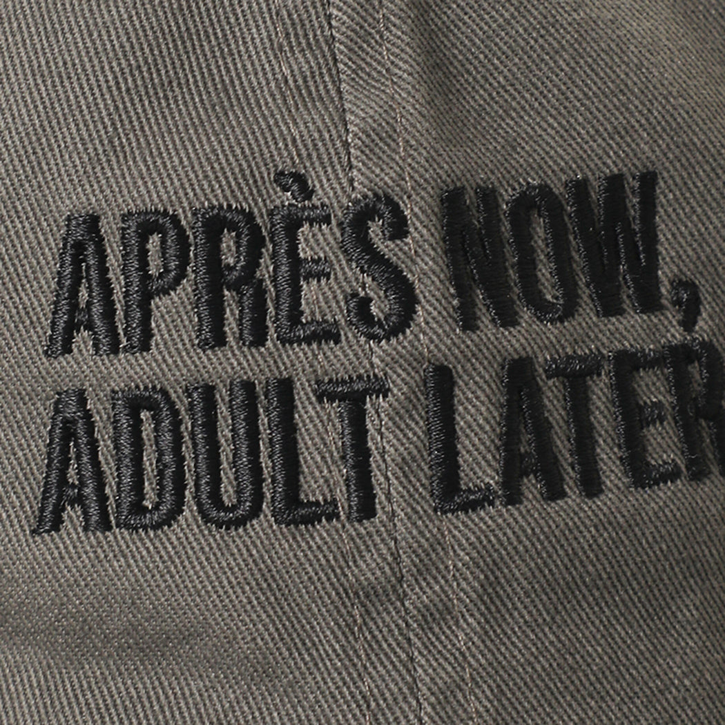 Après Now Adult Later embroidered baseball cap in charcoal, side view