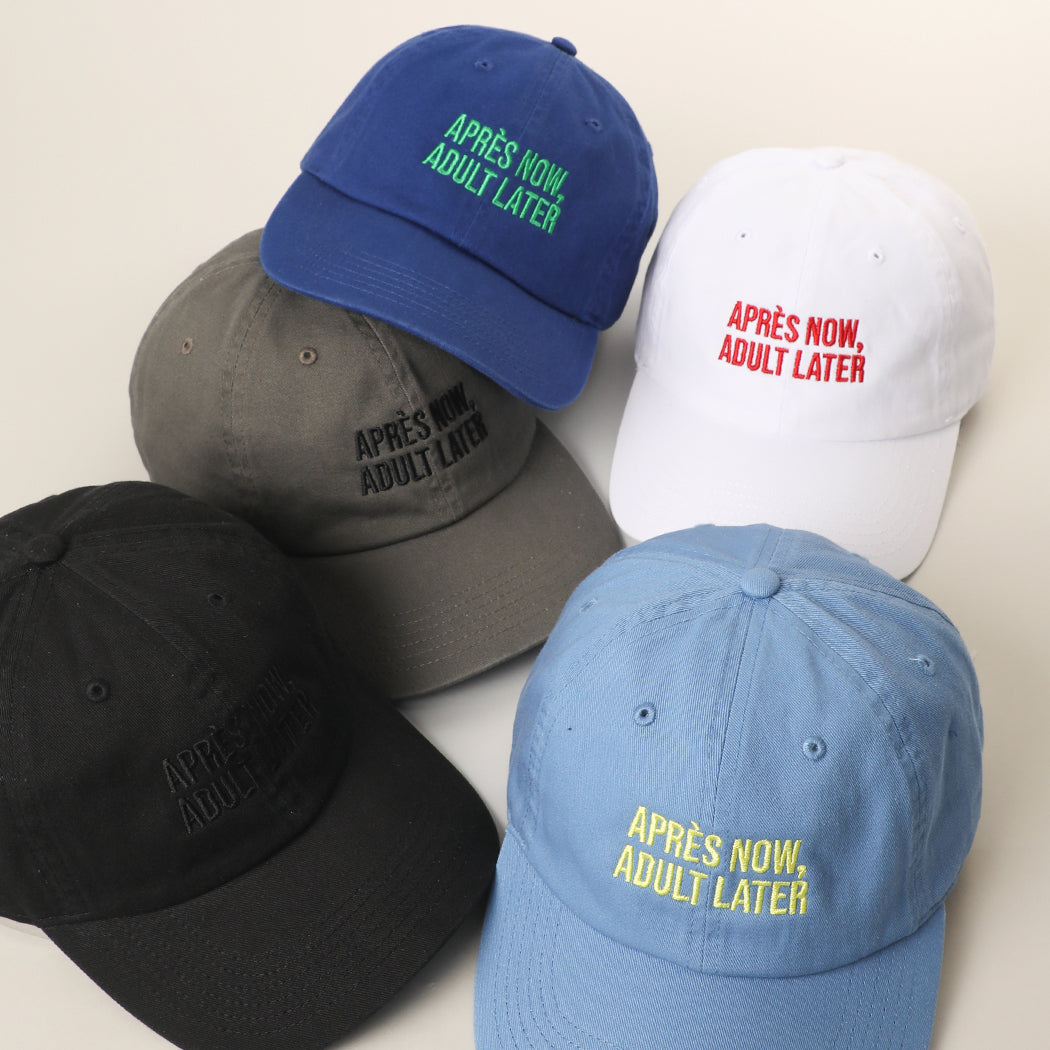 Après Now Adult Later embroidered baseball cap, side view