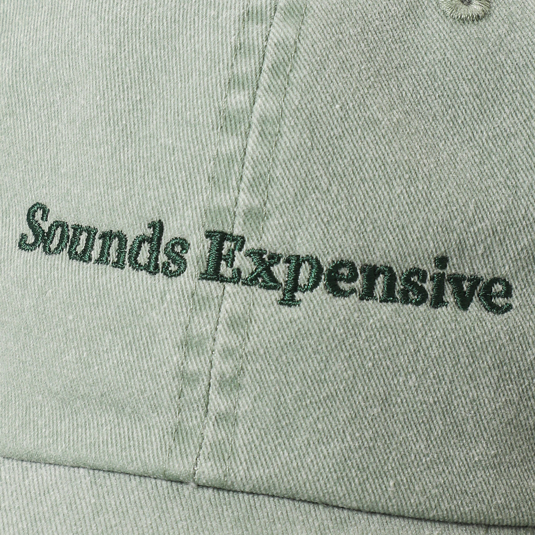 Sounds Expensive embroidered baseball cap in green tea, side view