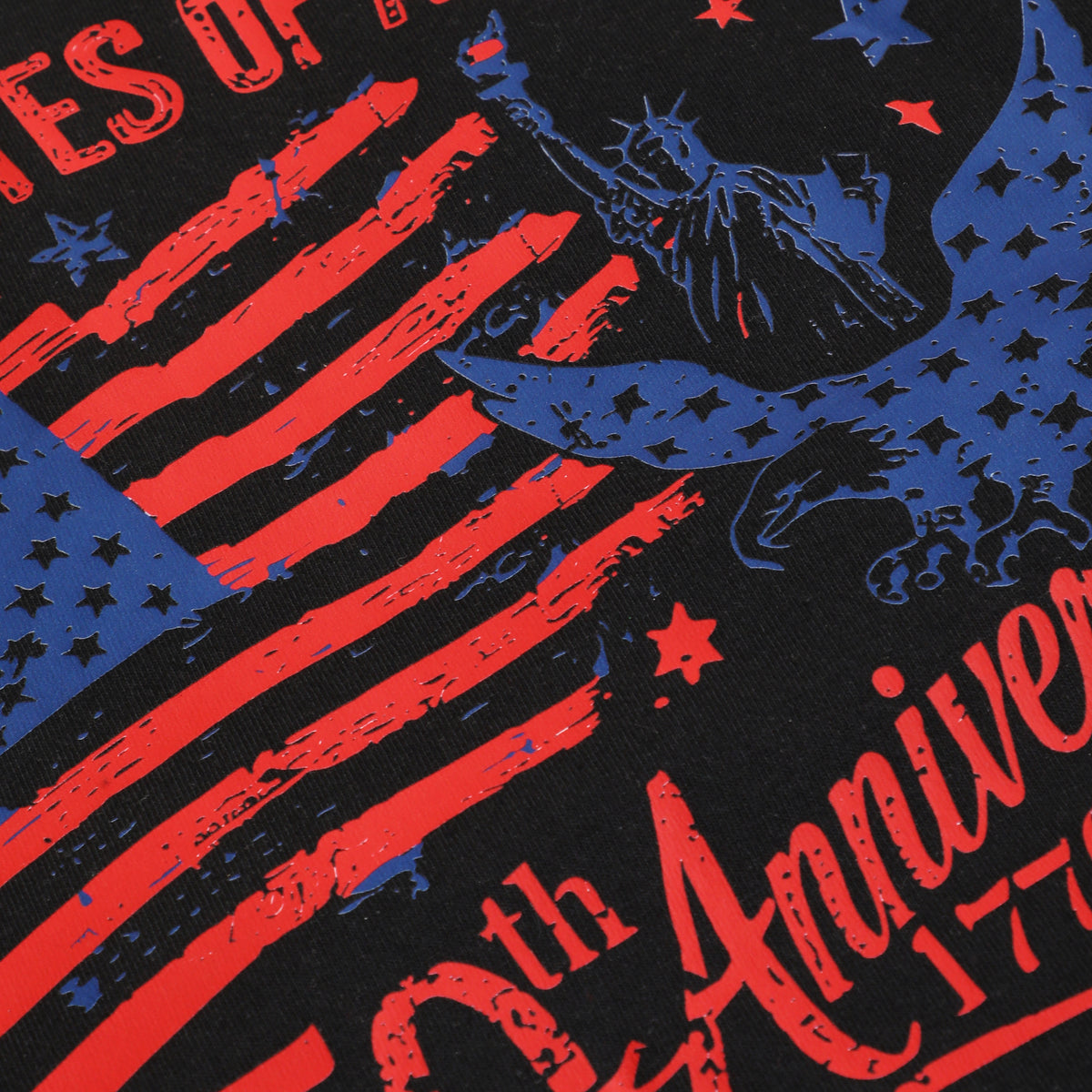 USA 250th Anniversary t-shirt in black, detail view