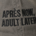 Après Now Adult Later embroidered baseball cap in charcoal, side view