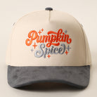 Pumpkin Spice suede brim trucker hat in grey