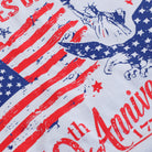 USA 250th Anniversary t-shirt in light blue, detail view